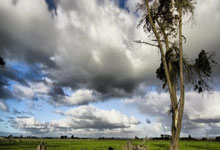 [天下足球]客场全取三分 利物浦战胜富勒姆.