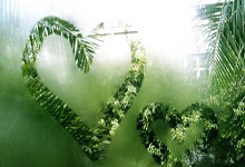 4强出炉！中国斯诺克全军覆没，肖国栋5-2被逆转.