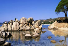 AOA体育投注平台：国足迪拜拉练新人争锋 王钰栋跻身主力阵容可期.